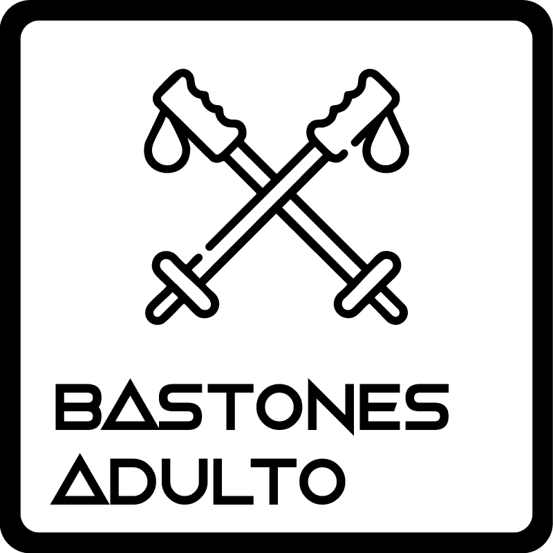 Bastones Esquí